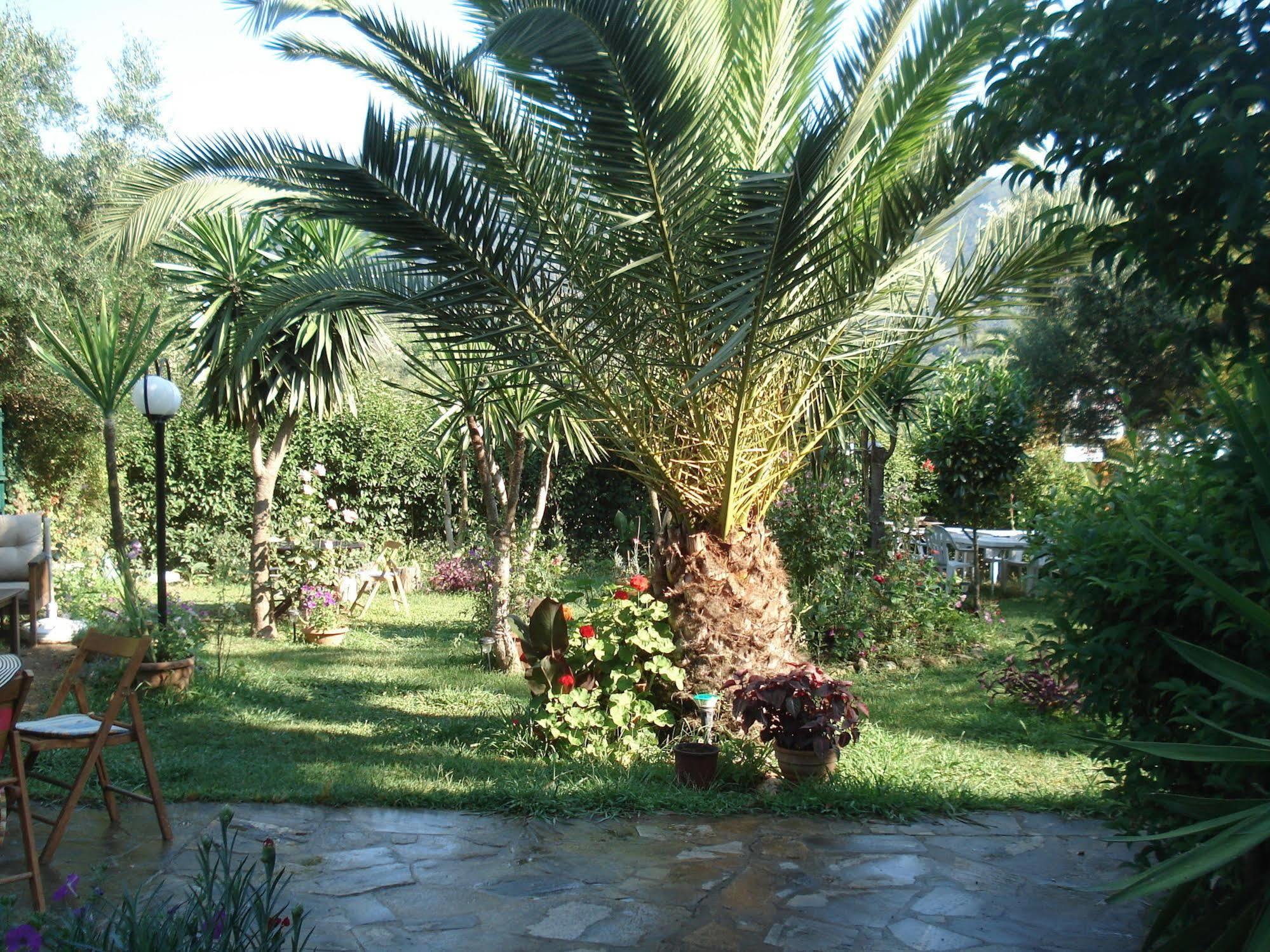Villa Avra Dassia  Luaran gambar